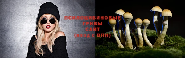бошки Кинешма