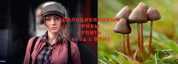 PSILOCYBIN Киреевск