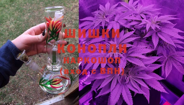 PSILOCYBIN Киреевск